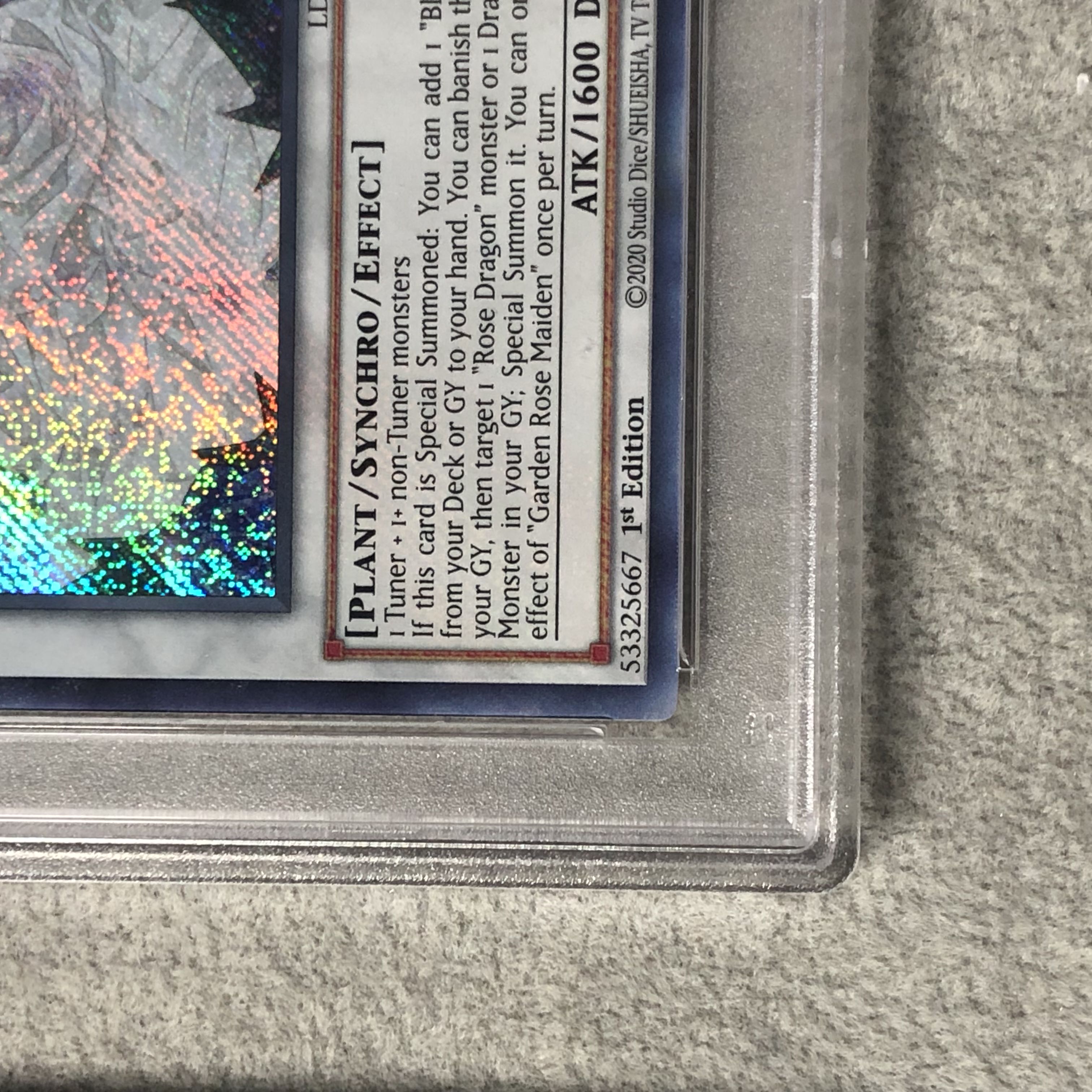 【PSA10】ガーデン・ローズ・メイデン (英語版/1st) [シークレット] {LDS2-EN113} 1枚