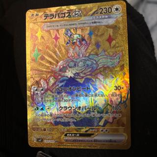 テラパゴスex UR 133/102 1枚