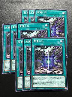 遊戯王スタジオ 9枚 聖蔓の社 ノーマル JP038