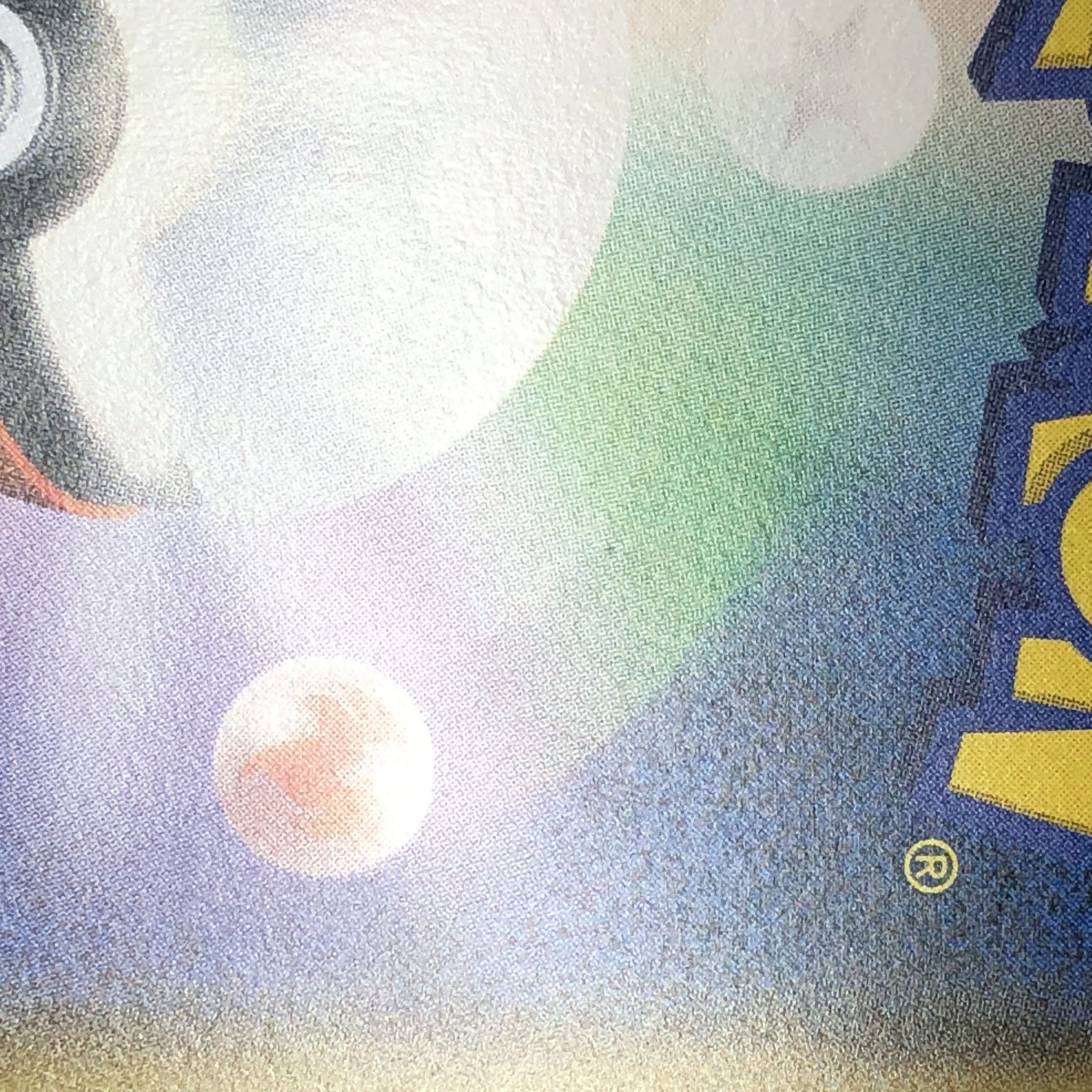 Eevee Munch Eevee PROMO 287/SM-P