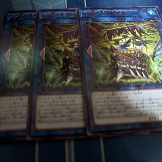 Wandering Ghost Ship rare ROTA-JP047