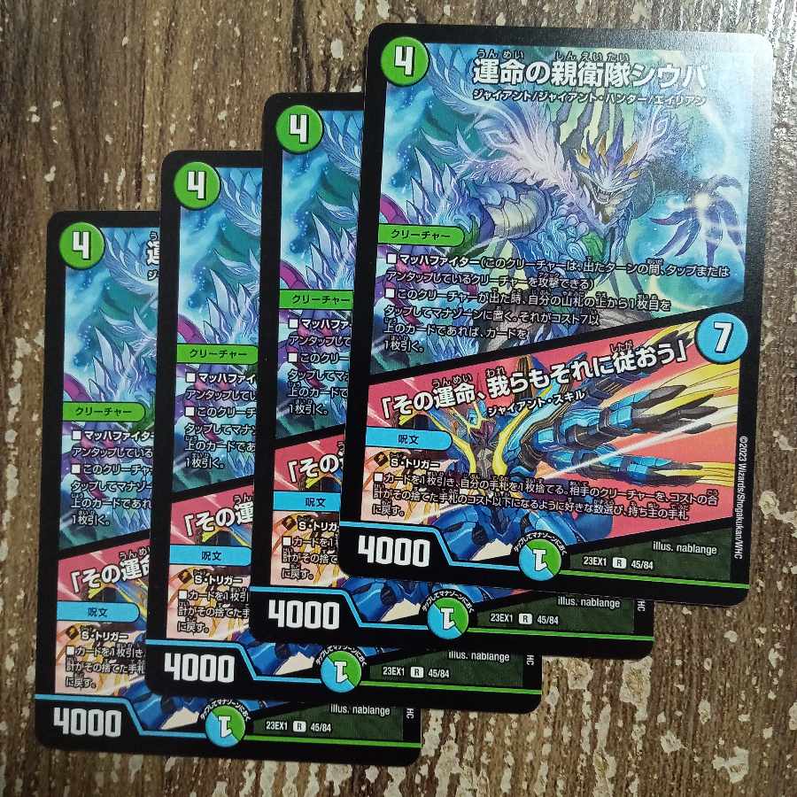 Shiba, SS of Fate｜"That fate, we shall follow it" R 45/84