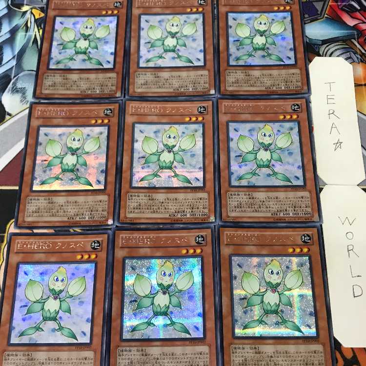 1 Secret Effect Set of 9 Tera. 9枚