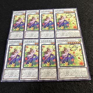 a1982【遊戯王】いろはもみじ　8枚セット 8枚
