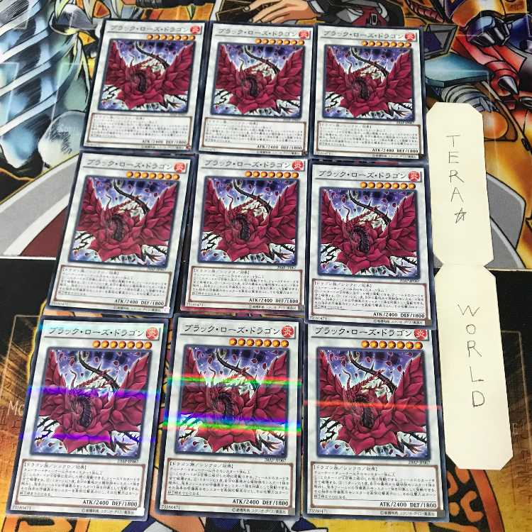 ブラック・ローズ・ドラゴン 1 ノーマルパラレル 9枚セット てら