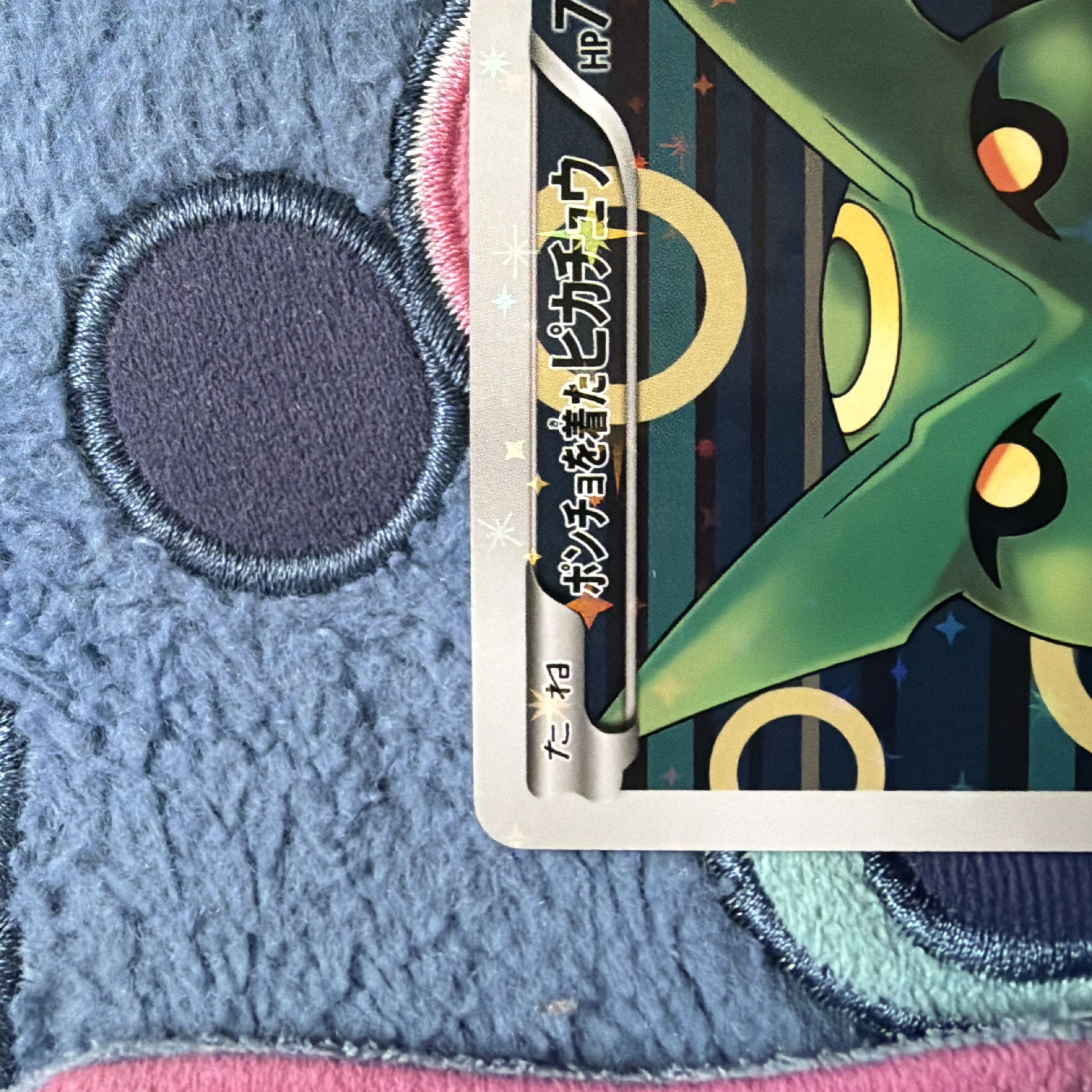 ポンチョを着たピカチュウ　レックウザ 1枚