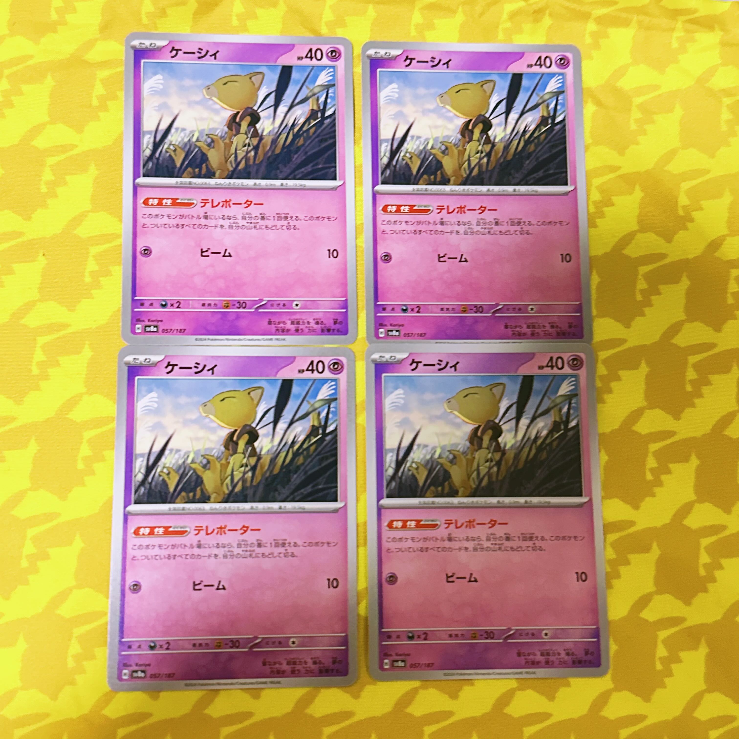 【00319】 ケーシィ C 047/101