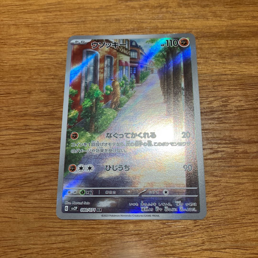 nobutinn様専用 1枚