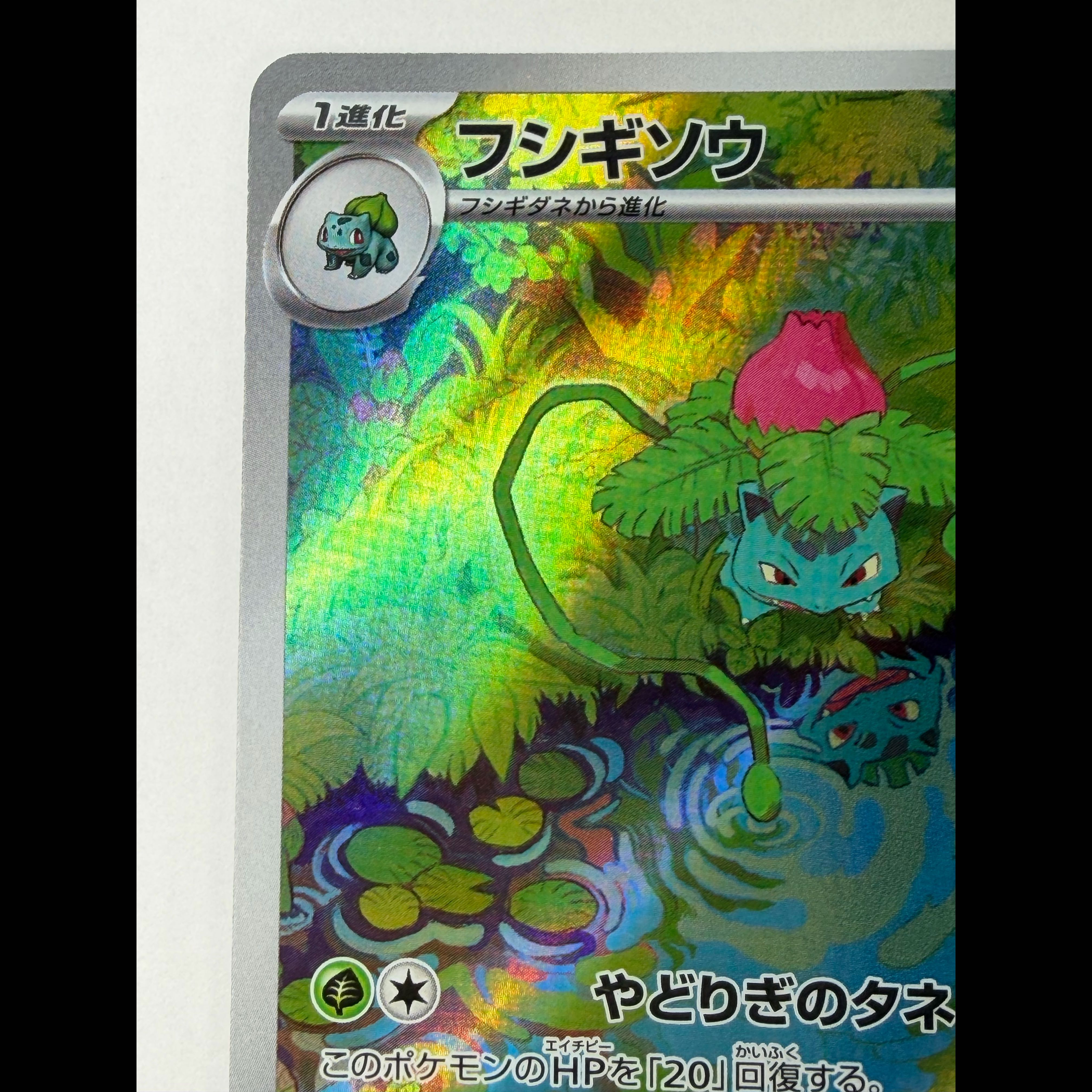 Ivysaur AR 167/165 1枚