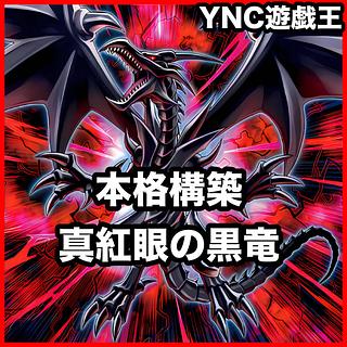 Red-Eyes Black Dragon Deck [Yu-Gi-Oh Full Scale Construction Red-Eyes Insight Red-Eyes Fusion Red-Eyes Fusion Imperial Veins of the Original Stone Psychic Magic Dragon Knight Dragoon of Red-Eyes] 1枚