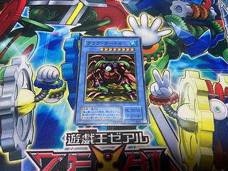 Y-1388 クラブ・タートル ノーマル PS-18