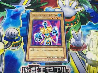 Y-1674 ヒューマノイド・スライム ノーマル 001