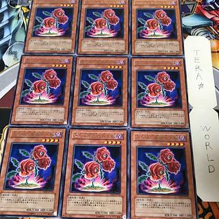 返り咲く薔薇の大輪 TSHD 3 レア 9枚セット てら