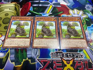 Y-709 Carpiponica, Mystical Beast of the Forest Normal JP022