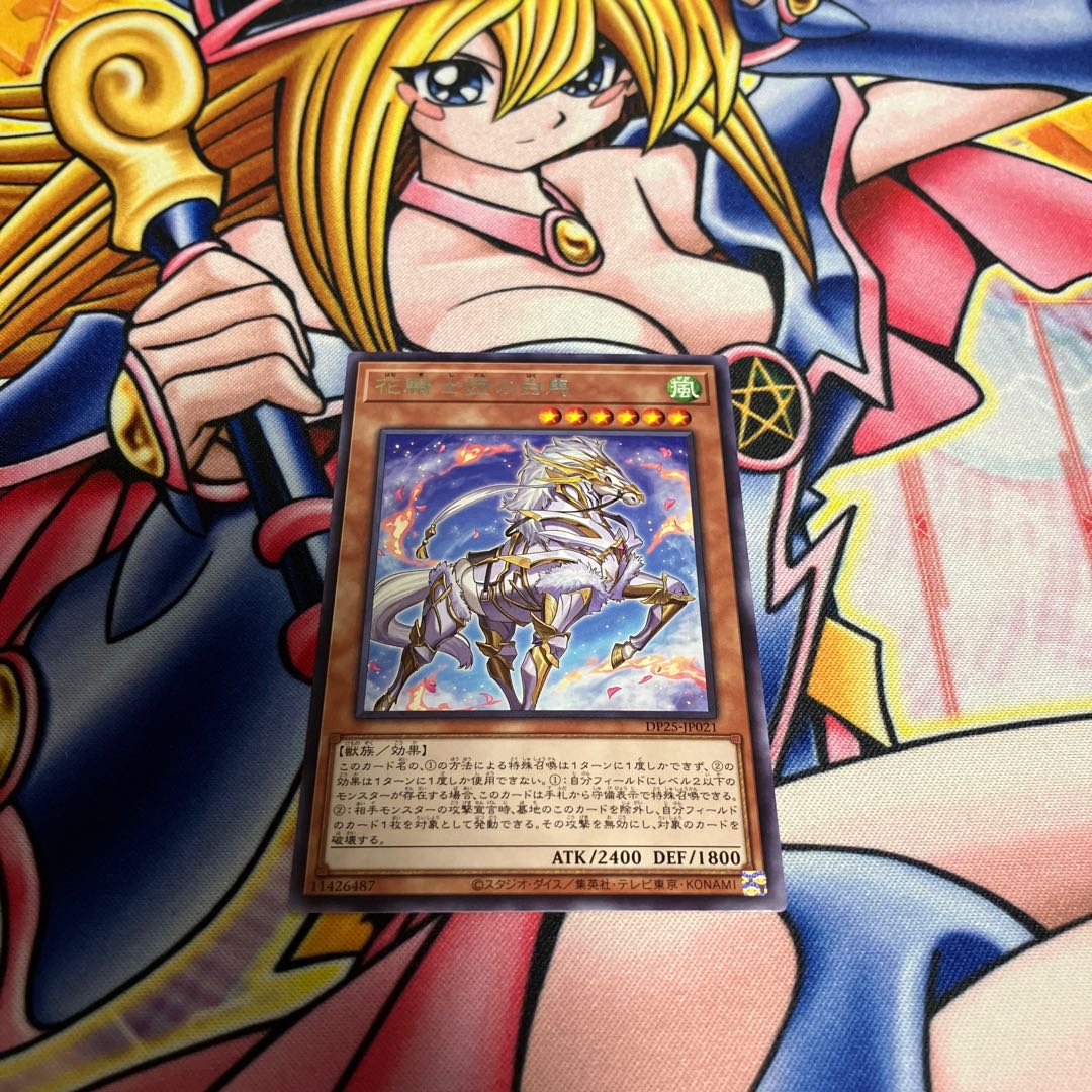 White Steed of the Floral Knights rare JP021