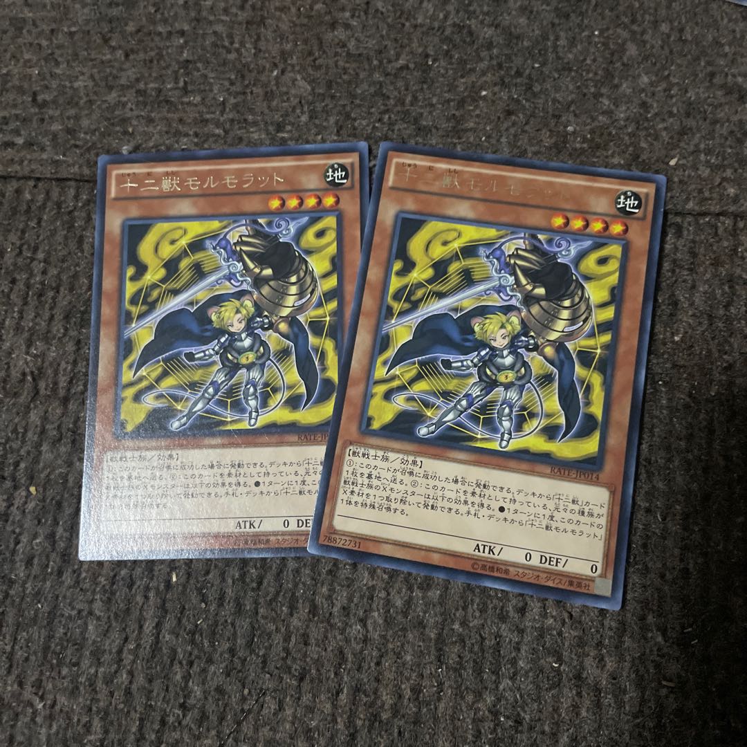 十二獣モルモラット レア JP014 2枚