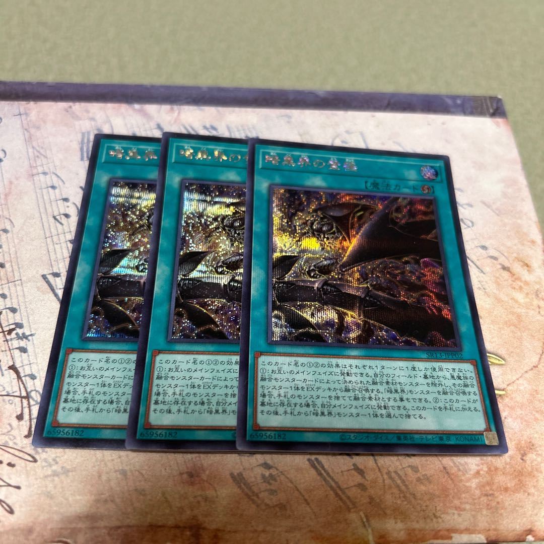 Ascension of the Darkness Realm - Secret Rare SR13-JPP02 3枚