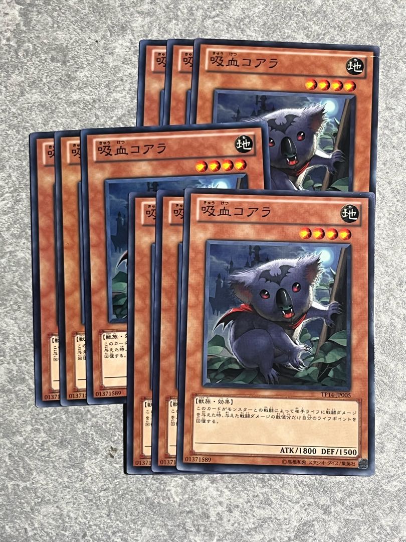 遊戯王スタジオ 9枚 吸血コアラ ノーマル JP005
