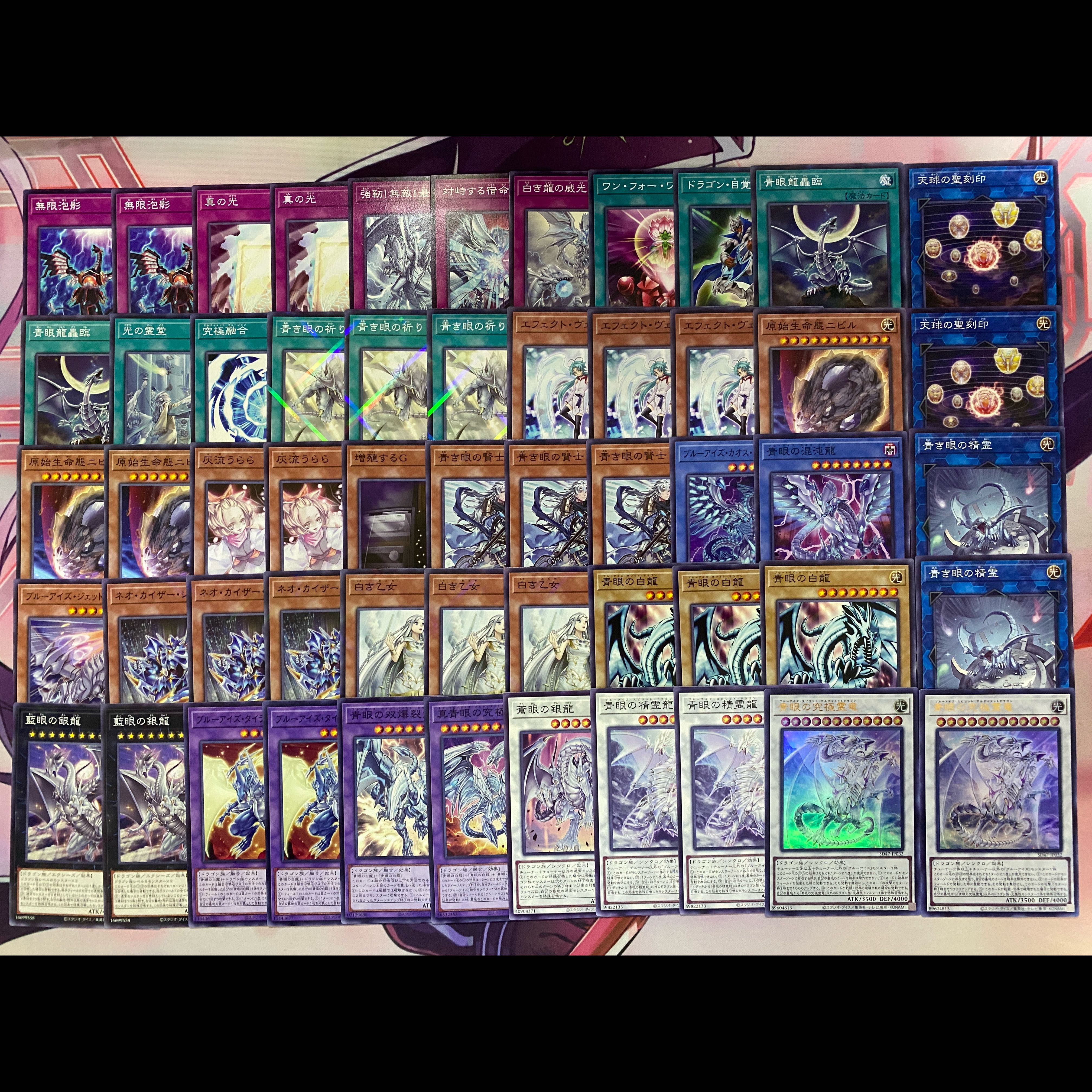 002　遊戯王　青き眼　青眼（ブルーアイズ）大会構築デッキ 1枚