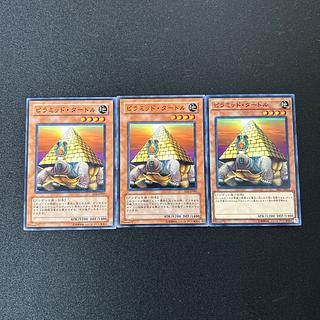 4169 Pyramid Turtle☆4612