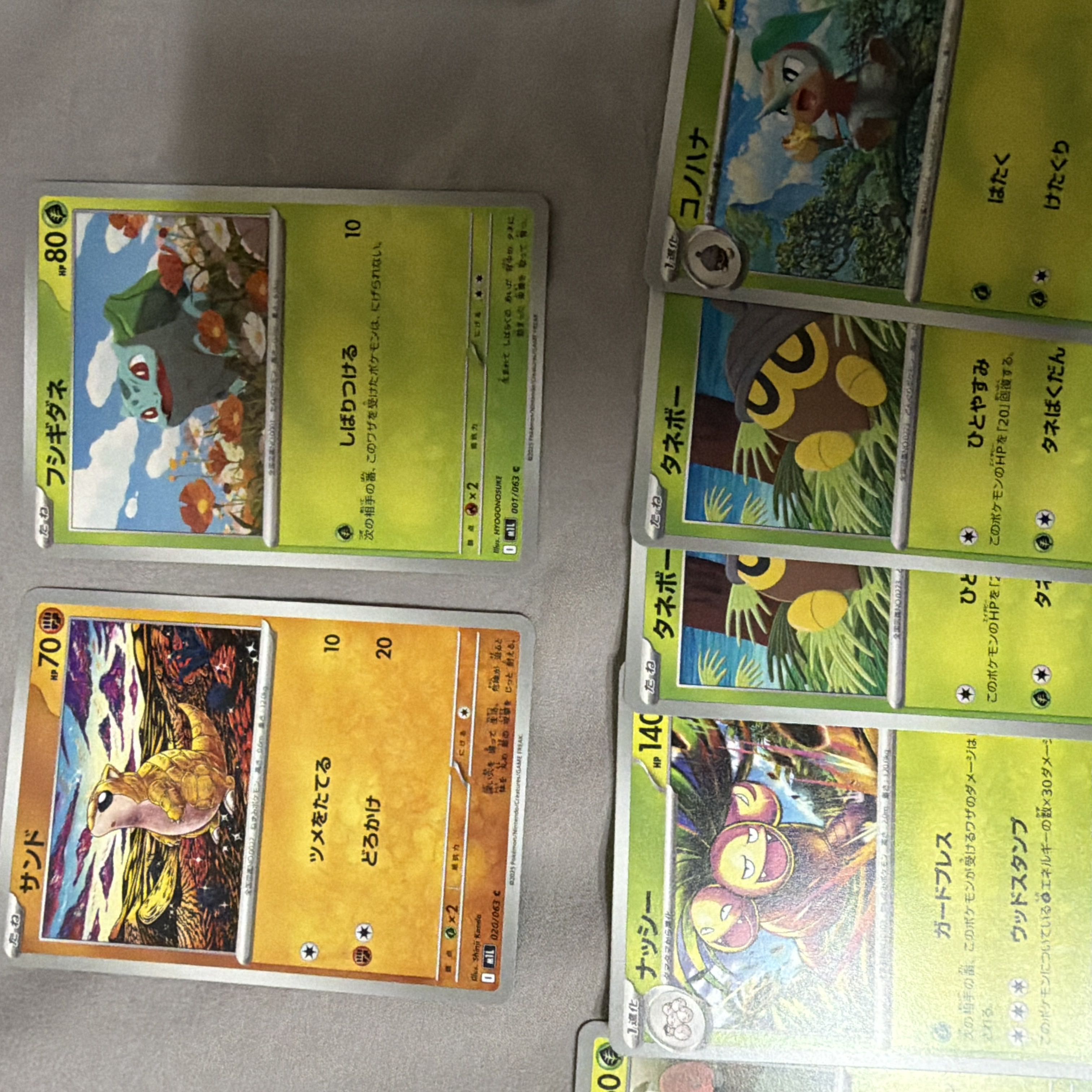 m1L  1枚
