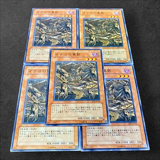 9787【遊戯王】イナゴの軍勢　5枚セット