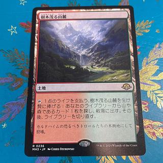 樹木茂る山麓 MH3 MTG 日本語