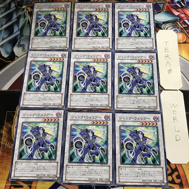 Junk Warrior 1 Normal, set of 9 Tera.