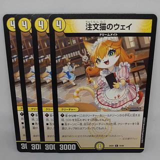 Order Cat's Way C 70/89