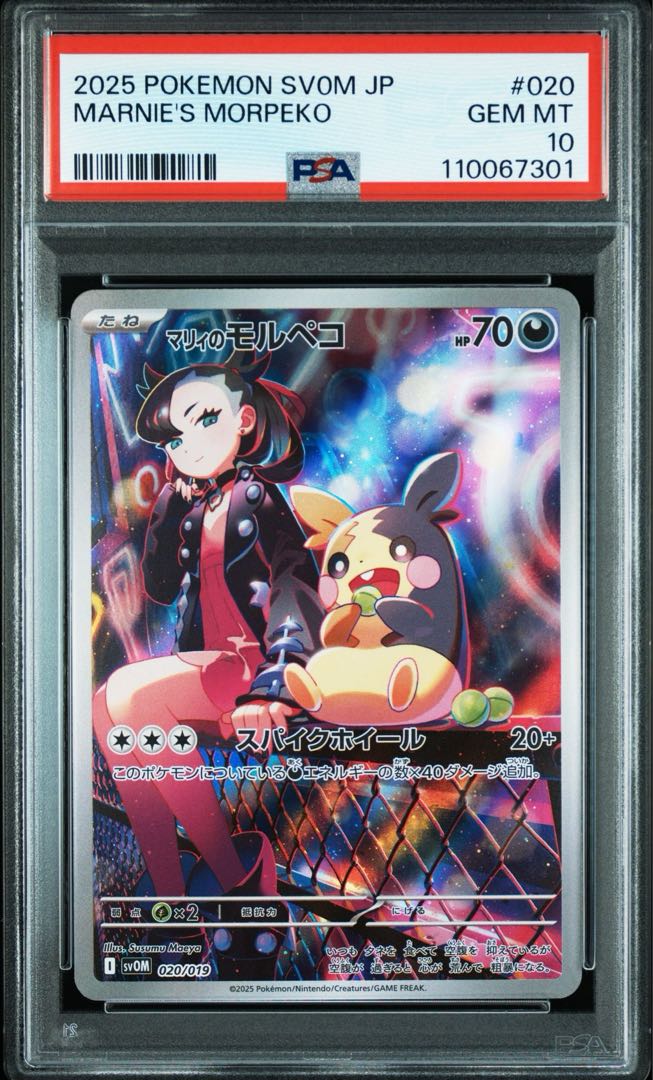 PSA10】 マリィのモルペコ (AR仕様) {020/019} [SVOM/スターター PSA10】 マリィのモルペコ (AR仕様) {020/019} [SVOM/スターター