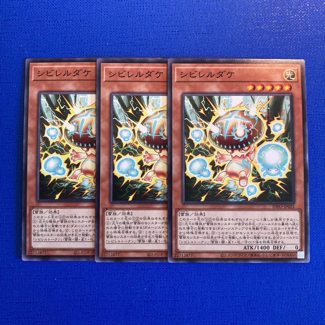 Shibireru Dake Normal INFO-JP025 1枚