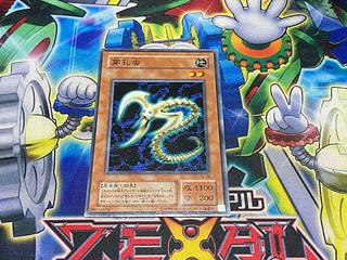 Y-3981 Drill Bug Normal TB-28 1枚