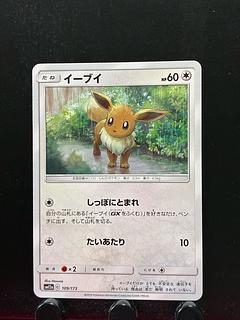 Rakurakudo] Pocketka Eevee