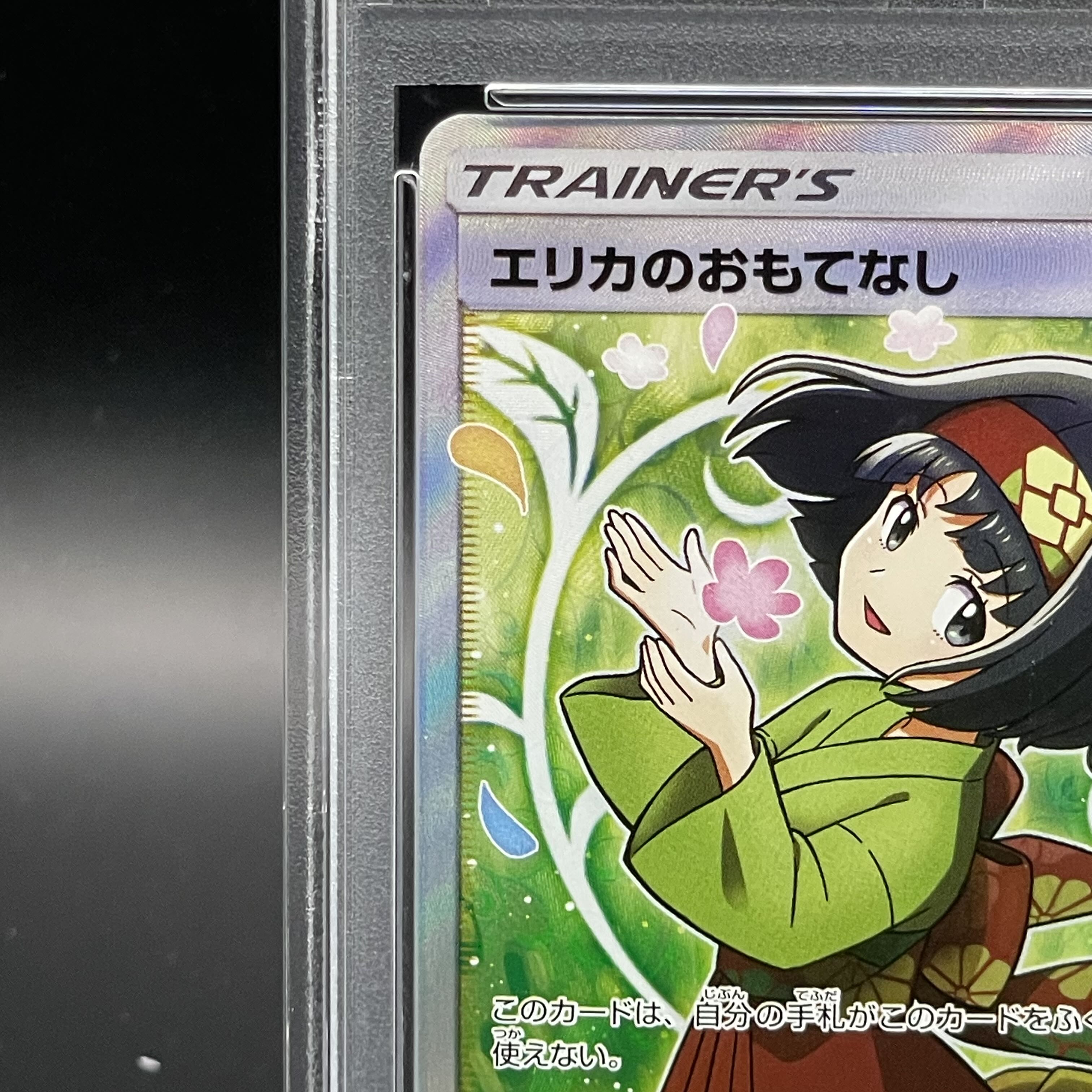 [PSA10] Erika's Hospitality SR 107/095