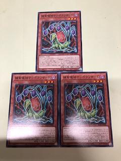 捕食植物テッポウリザード