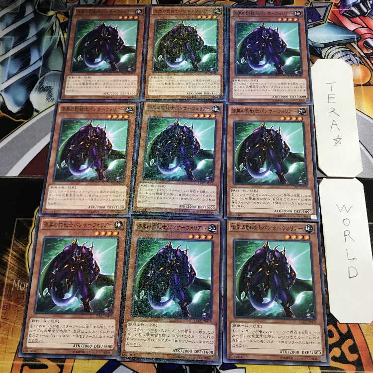Panther Warrior 15AX 1 Millennium 9-card set Tera