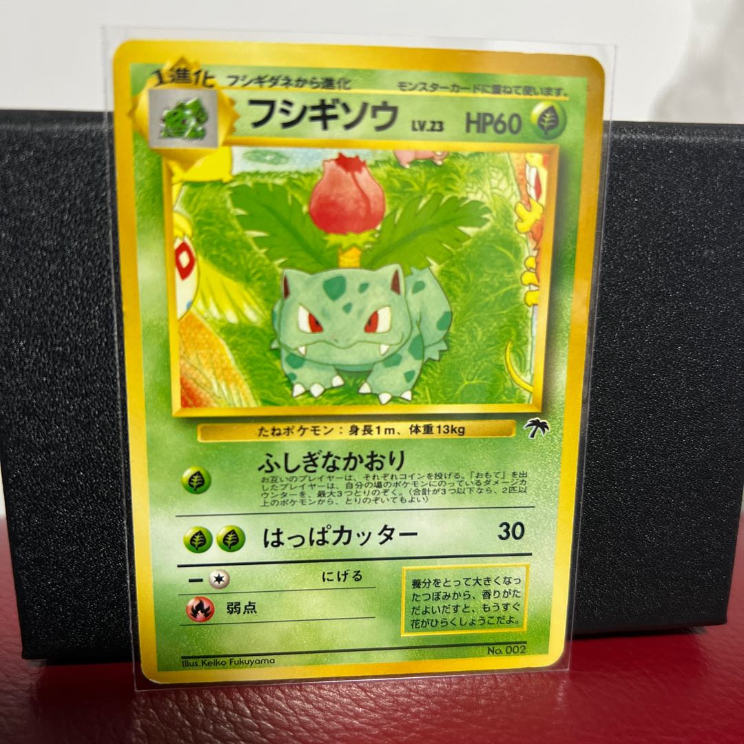 Ivysaur Old Back 1枚