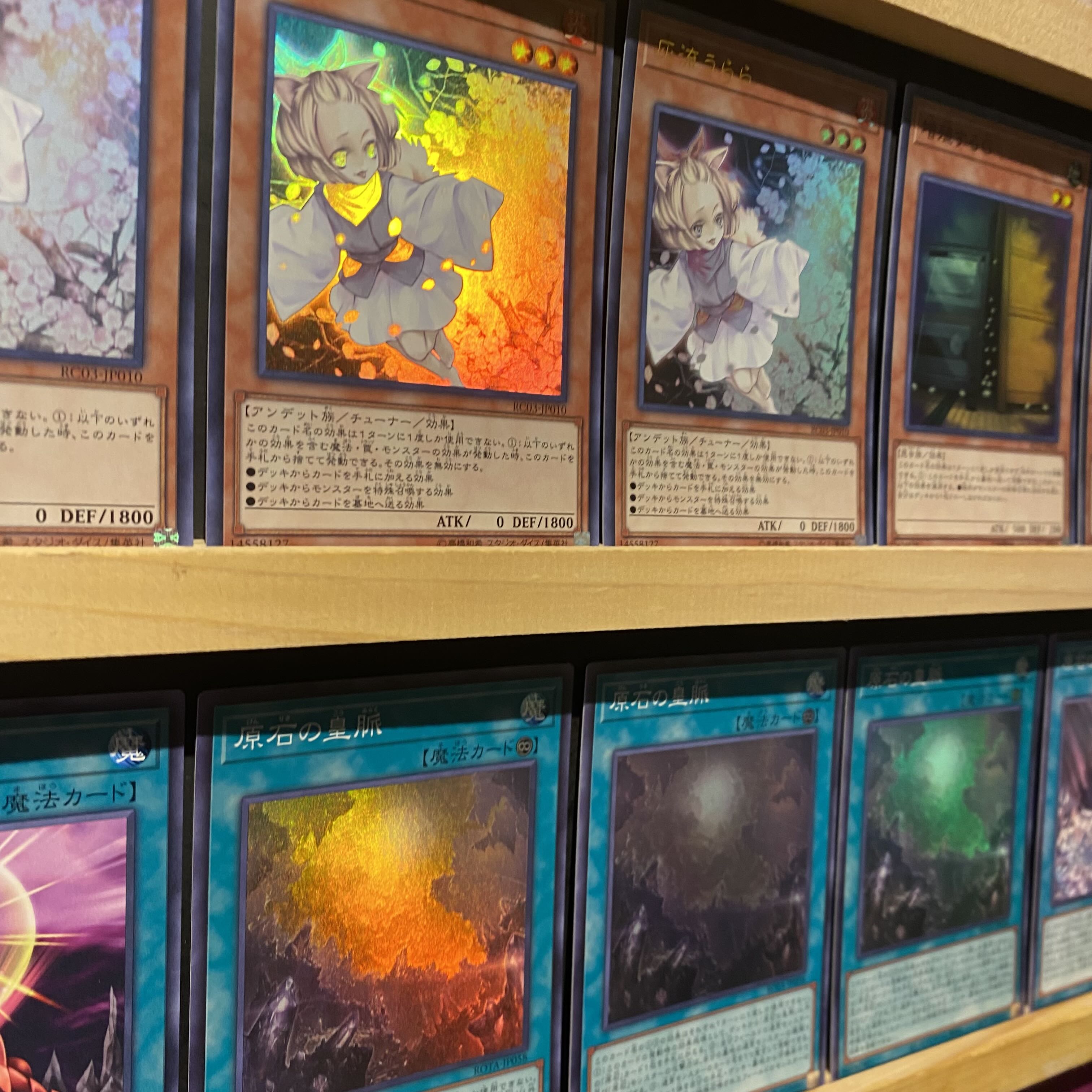即日発送!大会用【原石真紅眼】デッキ 遊戯王 超魔導竜騎士 即日発送!大会用【原石真紅眼】デッキ 遊戯王 超魔導竜騎士