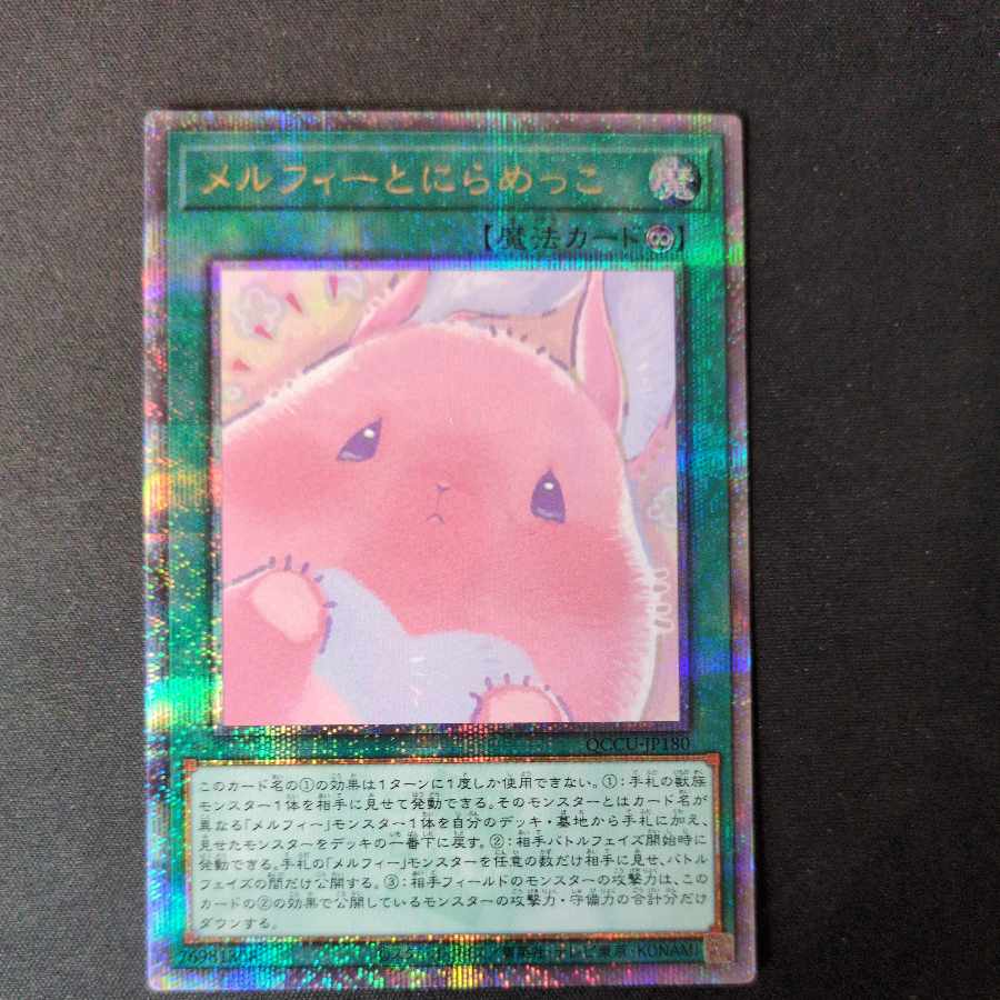 Staring at Melfi, QCSE, 25th Sikh QCCU-JP180