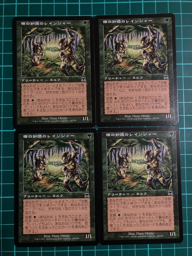 MTG   樺の知識のレインジャー　4枚　マジックザギャザリング 4枚