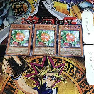 Naturia Ladybug DT07 1 Duel Terminal, Set of 3 Tera