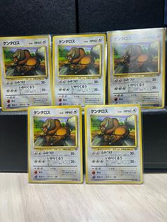 【値下げ】ケンタロス　旧裏×5枚セット