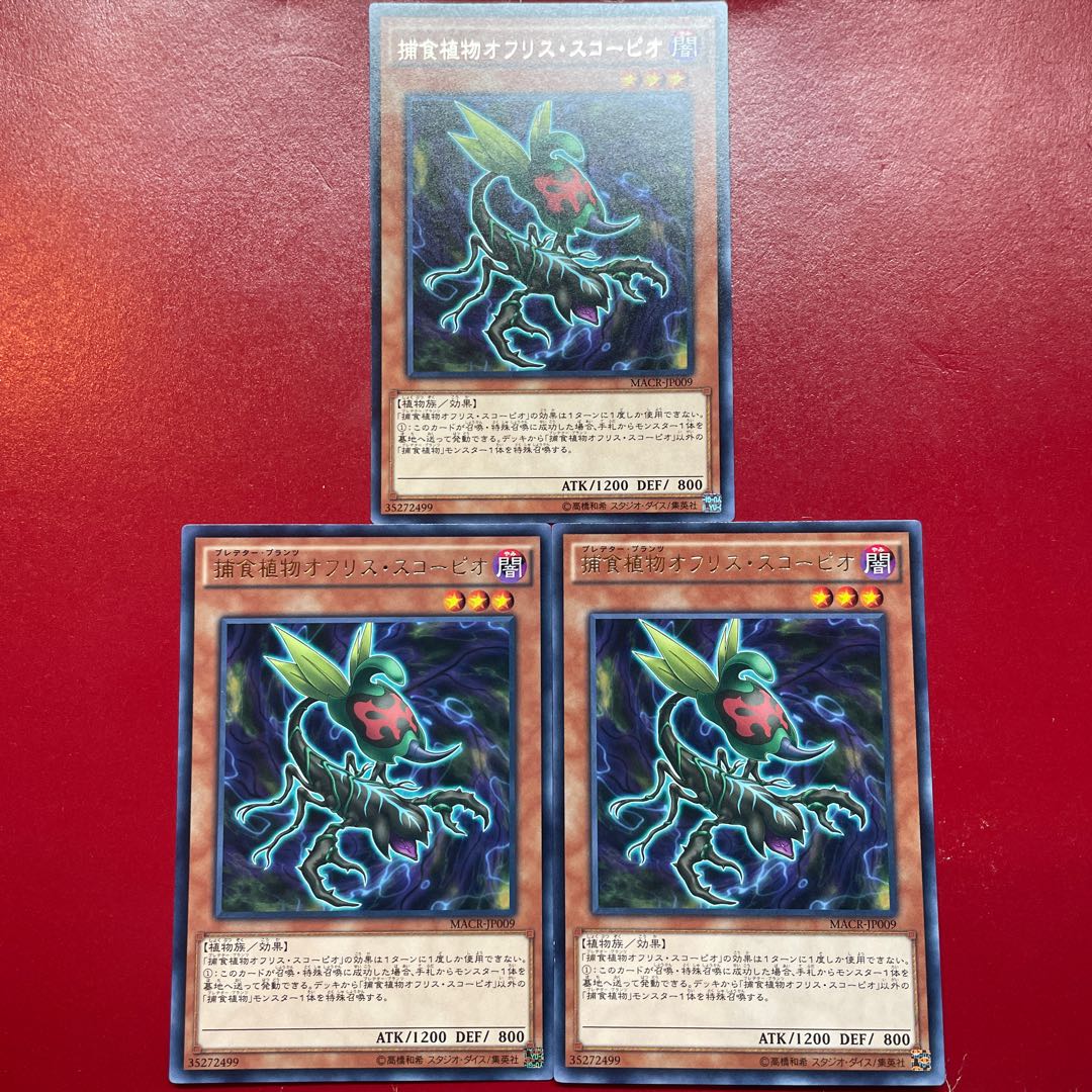 Aih. Predaplant Ophrys Scorpio Rare JP009 1枚