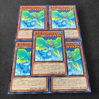 9350【遊戯王】霊水鳥シレーヌ・オルカ　5枚セット