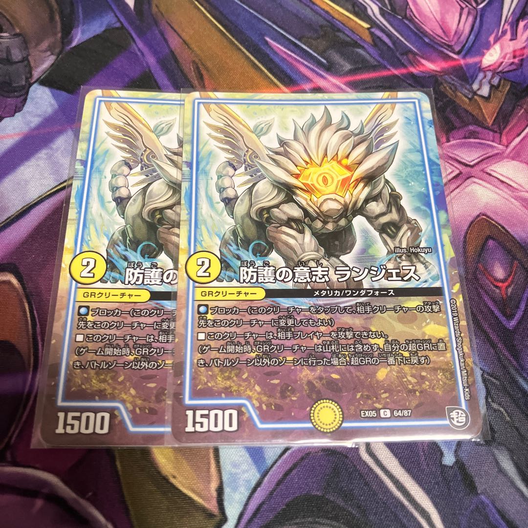 防護の意志 ランジェス