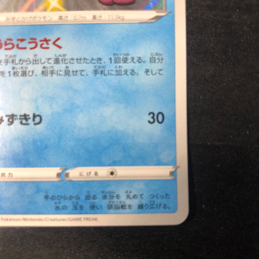 ジメレオン S 225/190 1枚