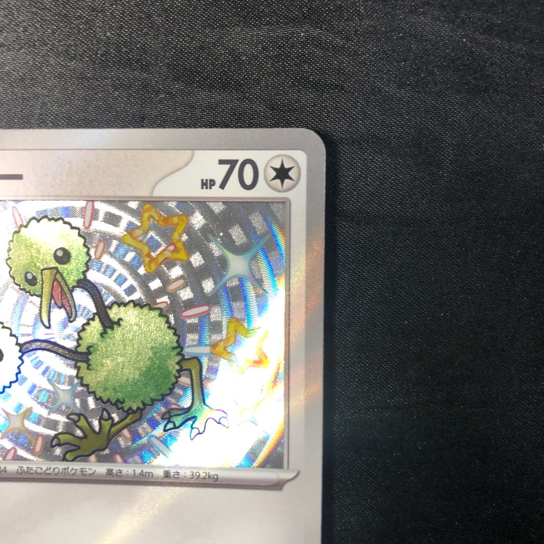 ドードー S 307/190