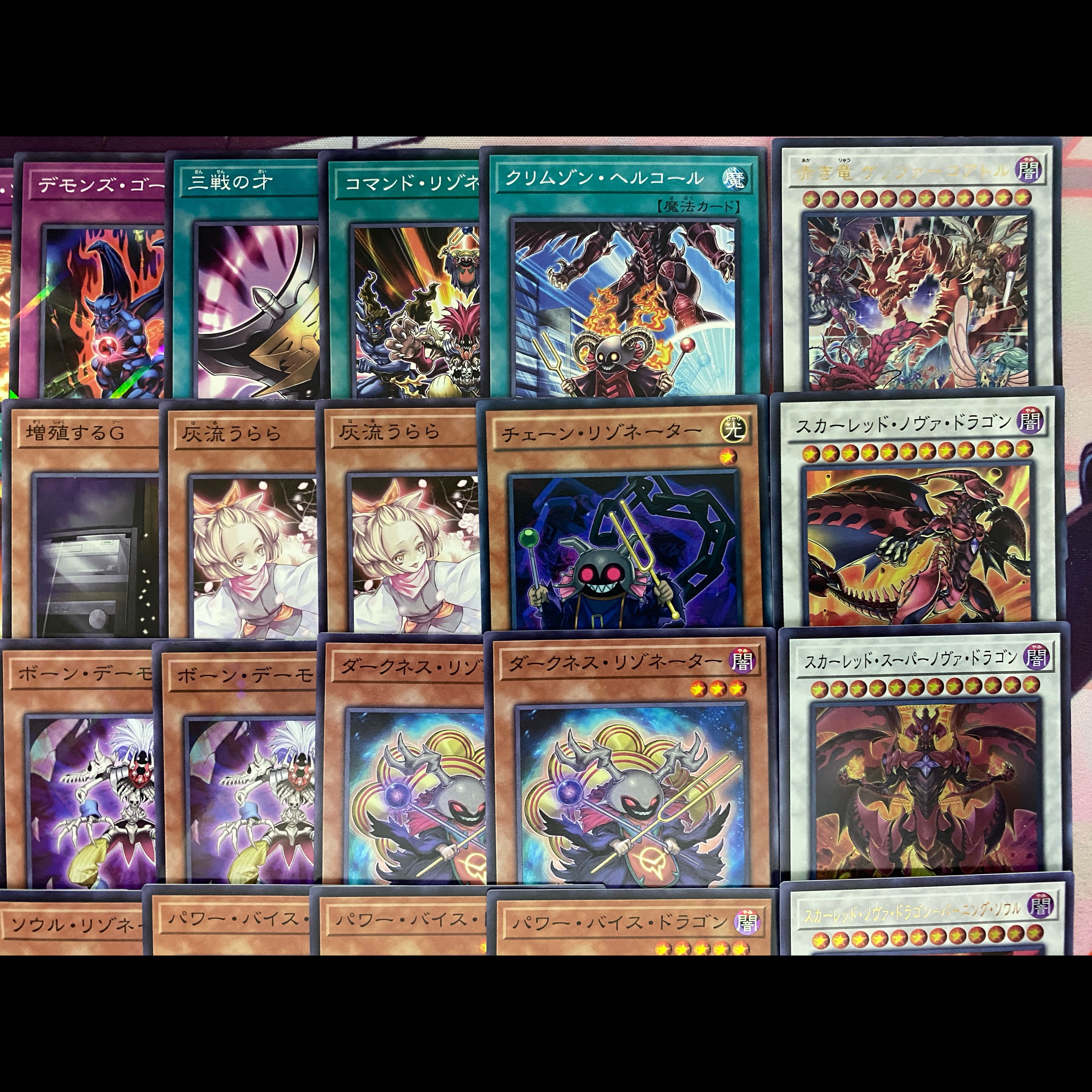 03　新規採用　遊戯王　レッド・デーモンズ　リゾネーター　大会構築デッキ 1枚