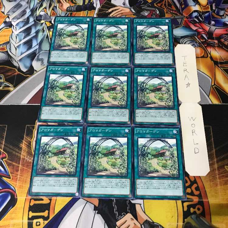 アロマガーデン CORE 4 ノーマル 9枚セット てら