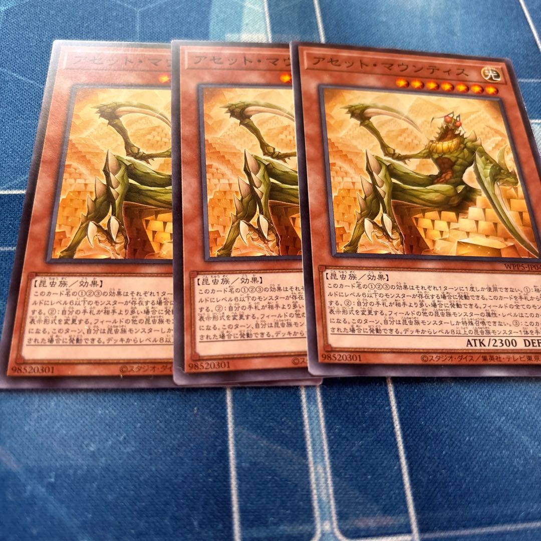 アセット・マウントティス 1枚